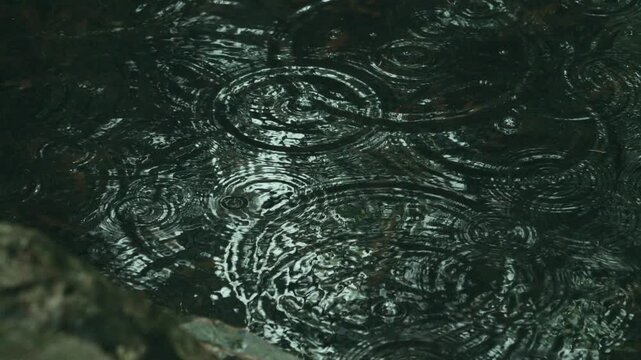 Raindrops falling on water surface creating concentric ripples and dark texture