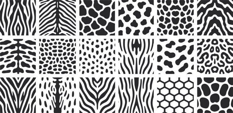 Seamless leopard skin animal print pattern texture for wallpaper textile and fashion design