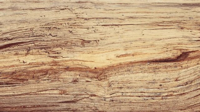 Animated background featuring a wooden or natural stone wall. Video of a wooden background. Video of a stone background.