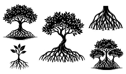 Black mangrove tree vector set with exposed roots and tropical nature silhouettes © Md