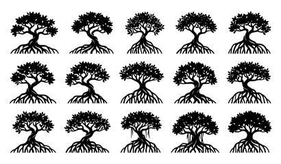 Minimal black mangrove tree vector illustration set with roots and tropical nature art © Md
