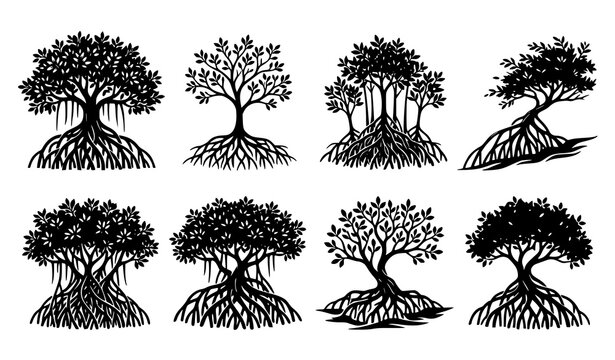 Modern mangrove tree silhouette collection with roots and tropical botanical vector art