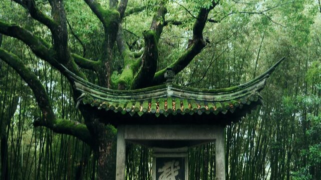 Traditional Chinese stone archway covered in moss surrounded by dense bamboo forest and ancient trees