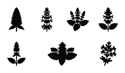 Botanical Mint Leaf Silhouettes, Herbal Plant Icons, Fresh Greenery Vector Graphics, Culinary Herb Sprigs © Shimu