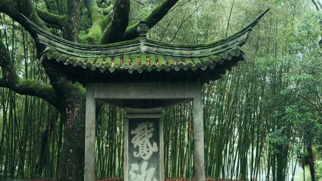 Chinese pavilion with stone stele surrounded by lush green bamboo forest and mossy trees