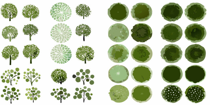 Tree canopy patterns top down view watercolor style