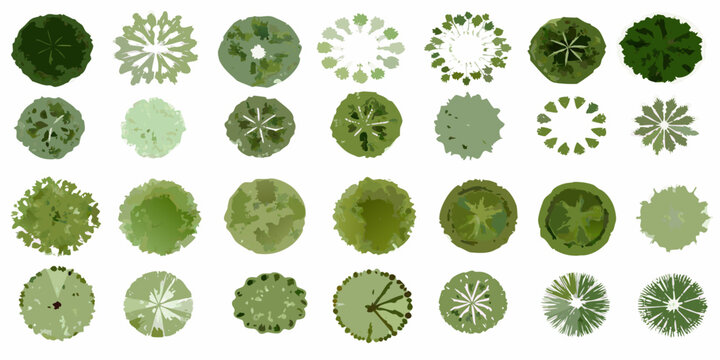 Tree top views aerial perspective vector illustration set