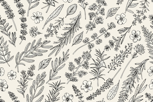 floral pattern design botanical illustration with sketched leaves and flowers