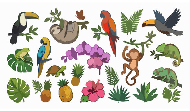 Hand Drawn Tropical Jungle Vector Collection with Exotic Animals Monstera Leaves and Flowers
