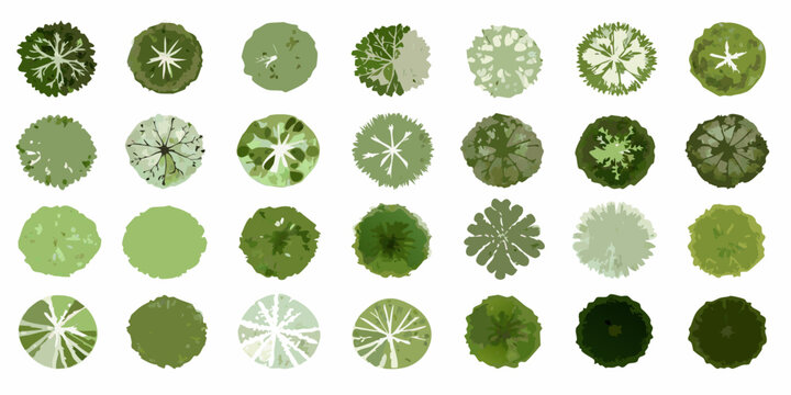 watercolor tree canopy collection vibrant grid of green treetops