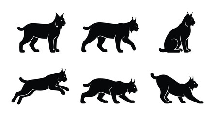 Six Black Lynx Silhouettes, Wild Cat Poses Vector Set, Elegant Feline Animal Graphics © Mahadi