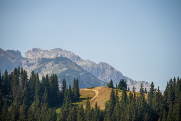 Fototapeta premium Beautiful nature and mountain peaks on Mount Durmitor in Montenegro