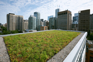 Obraz premium Green roof on a modern city building, representing urban climate adaptation, sustainable architecture, heat reduction and eco-friendly infrastructure