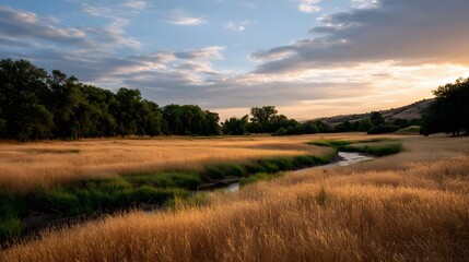 Fototapeta premium A vast tranquil landscape featuring an open field meeting a dense forest under soft morning or evening skies