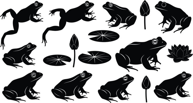 Frog Silhouette Vector Illustration Set with Jumping Amphibian Icons Lily Pad and Lotus Flower Elements for Nature Logos