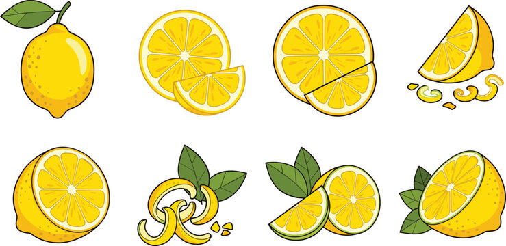 Lemon Fruit Vector Illustration Set with Whole Lemons Slices Half Cuts and Zest Elements for Juice Packaging