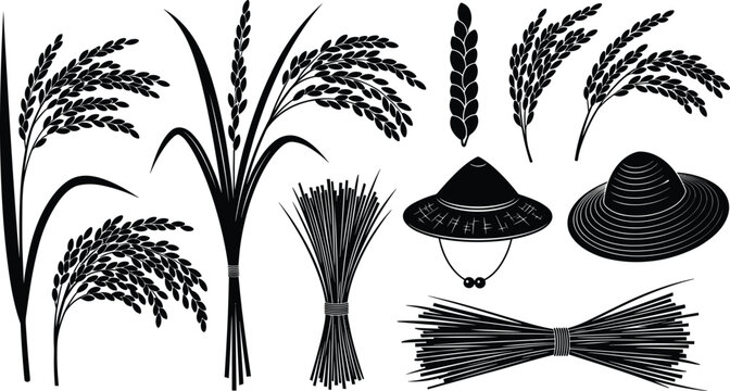 Rice Ear and Paddy Plant Vector Silhouette Set with Straw Sheaf and Farmer Conical Straw Hat Elements for Agriculture