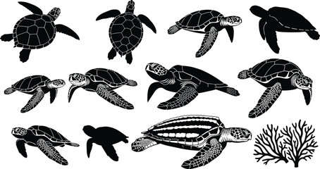 Sea Turtle Silhouette Vector Illustration Set with Ocean Reptile Icons and Coral Reef Elements for Marine Wildlife Designs © Firoz