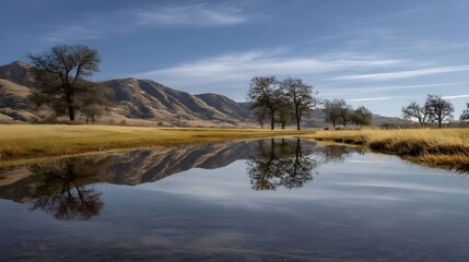 Obraz premium An expansive view of dry golden grassland stretching towards rolling hills under a clear blue sky