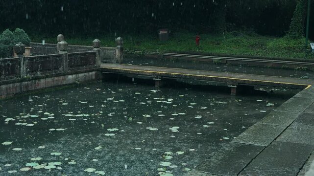 Raindrops falling on pond water surface with floating leaves and ripples in a garden
