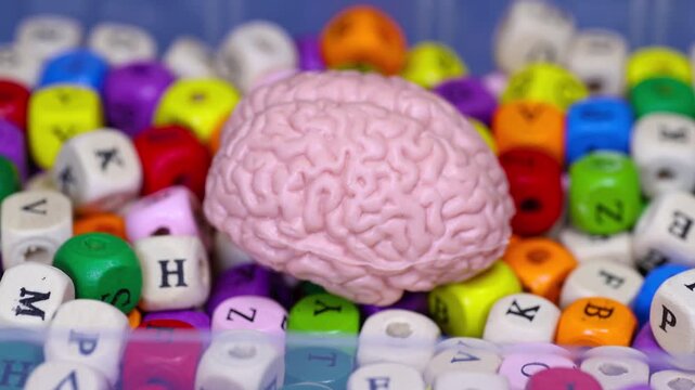 Human brain model resting on colorful letter blocks
