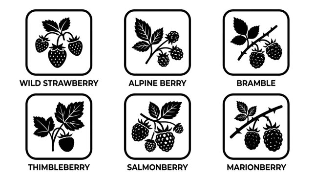Berry Vector Set Featuring Wild Strawberry Alpine Berry Bramble and More
