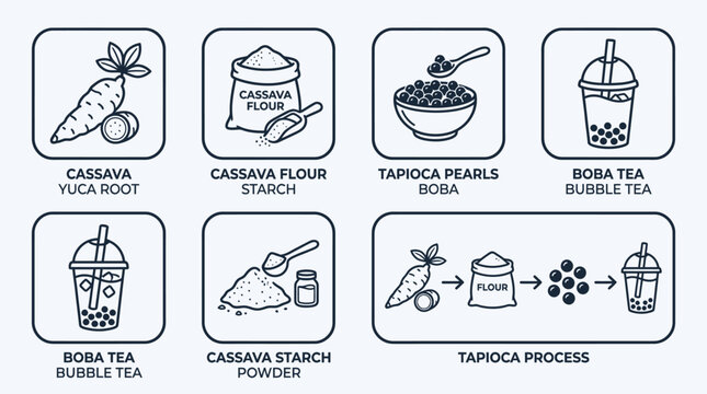 Cassava Tapioca Bubble Tea Ingredients and Process Diagram Vector