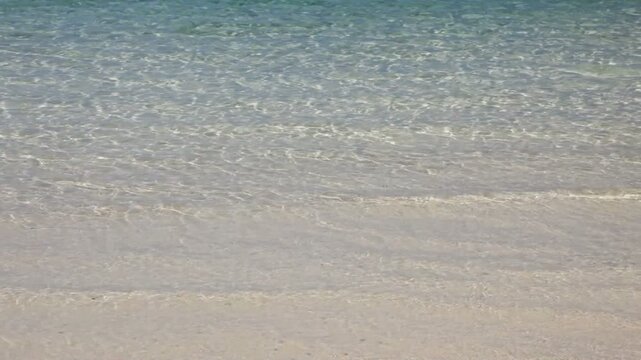 沖縄海洋博公園のエメラルドビーチ