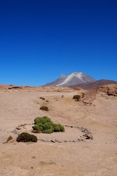 Majestic active volcano towering over the arid desert landscape of the Bolivian Altiplano, featuring unique green yareta plant vegetation under a clear deep blue sky in South America.