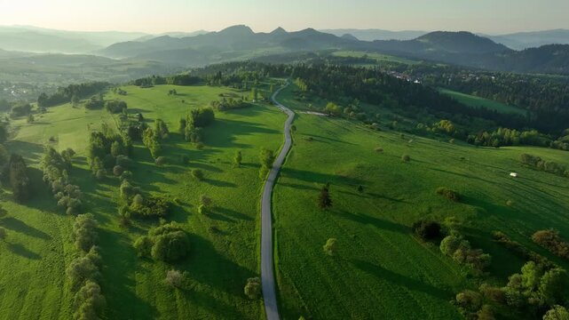 Top down aerial view of narrow winding asphalt road through green meadows and fields, drone abstract landscape