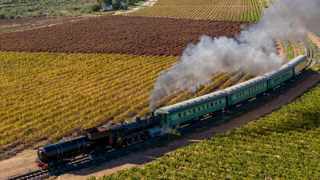 Aerial view of a vintage steam train traveling through lush vineyards with white smoke billowing from its engine Robertson, Western Cape, South Africa.
