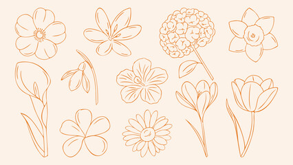 Flowers set with tulip, daisy, hydrangea, daffodil, crocus and calla lily, orange outline doodle flat retro style. Vector floral elements collection for spring greeting card, wedding, summer pattern © Coxic25