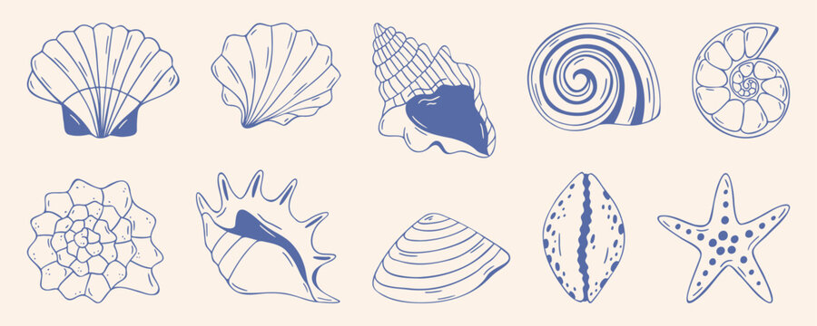 Seashells collection with starfish, scallop, nautilus, spiral and conch shells, blue outline doodle flat retro style. Hand drawn vector marine set for beach vacation design or summer pattern