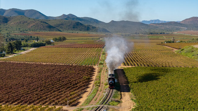 Aerial view of a vintage steam train emitting white smoke as it travels through lush vineyards and rolling hills under a clear sky in Robertson, Western Cape, South Africa.