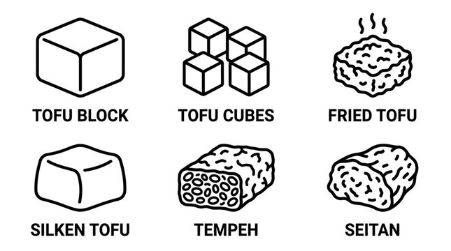 Tofu and Tempeh Icons Vector Illustration for Vegan Food Concept