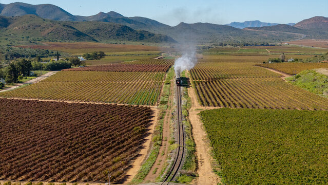 Aerial view of a vintage steam train emitting white smoke as it travels through lush vineyards and rolling hills in Robertson, Western Cape, South Africa.