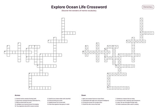 Explore Ocean Life Crossword - Elementary