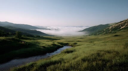 Fototapeta premium A serene landscape of rolling green hills shrouded in morning mist and atmospheric fog