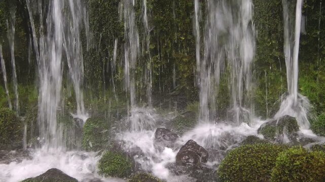 苔と滝の流れ