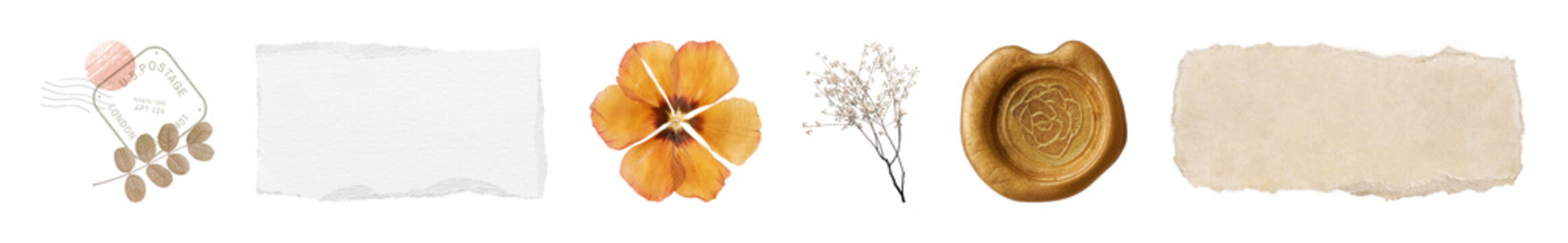 PNG Vintage floral paper elements collection on transparent background