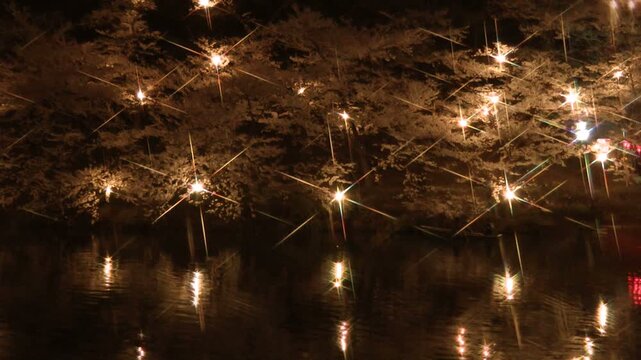 夜桜のライトアップ