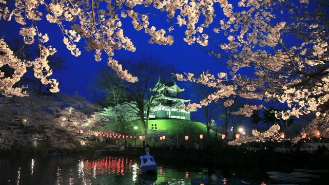 高田城の夜桜