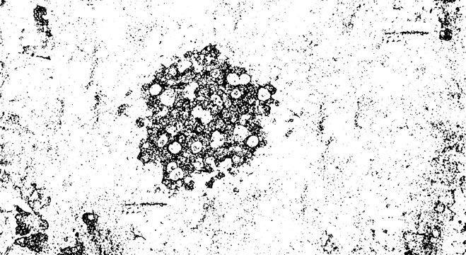 Microscopic view of cell cluster, possibly cancer cells. High magnification, research, laboratory