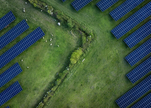 Aerial view of Gillinstown Solar Farm featuring rows of photovoltaic panels and sheep grazing on lush green pastures in County Meath, Ireland.