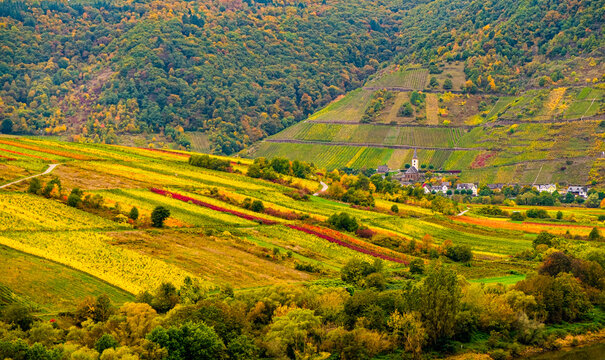 Autumn Moselle River Bend with Colorful Fields and Vineyards