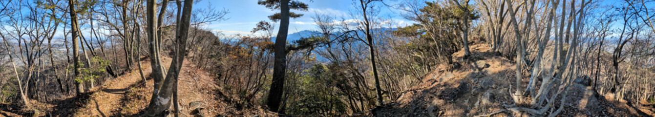 Fototapeta premium 丹沢の相州アルプス 衣浸山（きぬひたしやま）山頂のパノラマ写真 