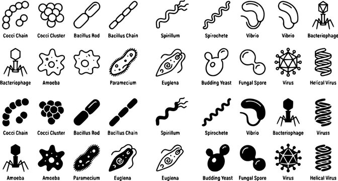 Microbiology icon set featuring various bacteria types, viruses, fungi and protozoa in line and silhouette styles for scientific education and laboratory research.
