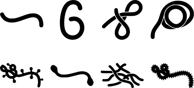 Collection of black virus and bacteria silhouettes representing various infectious pathogens like Ebola and Marburg isolated on a white background.
