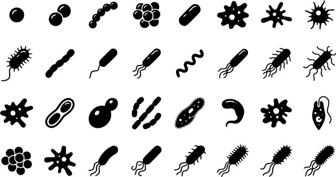 Collection of various bacteria and virus silhouette icons including cocci, bacilli and spirilla for microbiology and healthcare research.