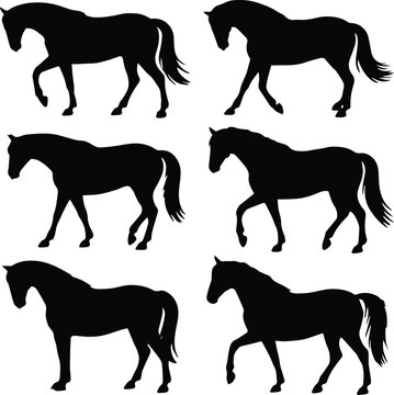 horse silhouette set walking trotting poses vector icons